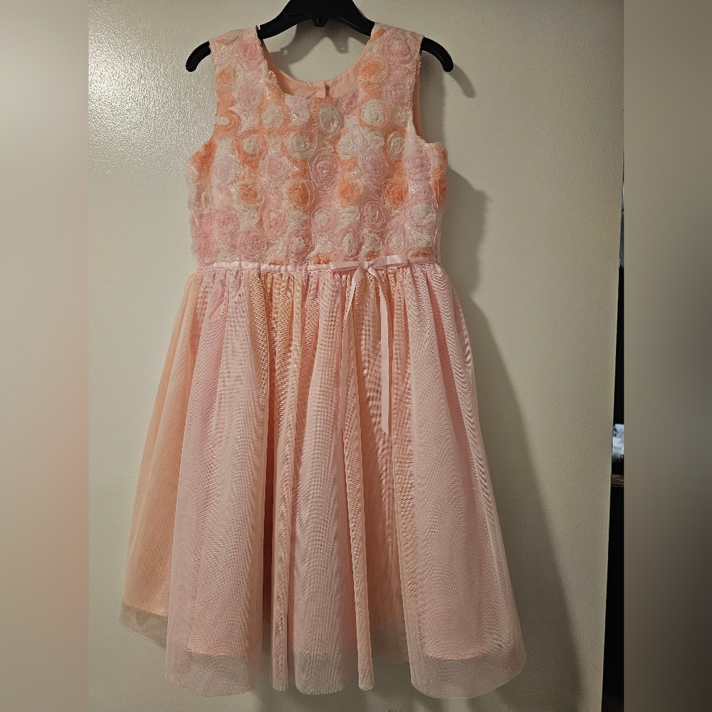 Jona Michelle pink with roses girls dress